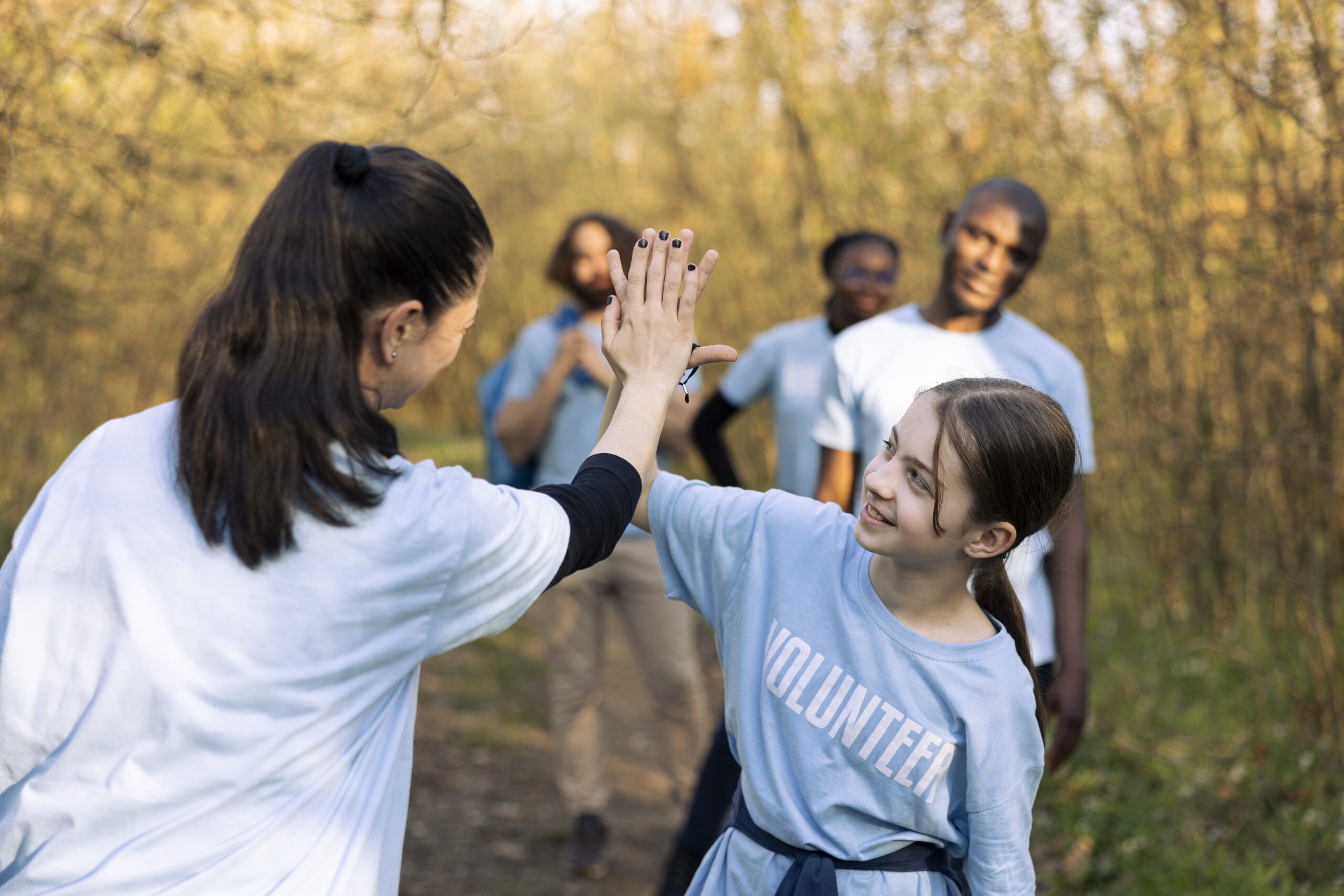 Voluntariat elevi
