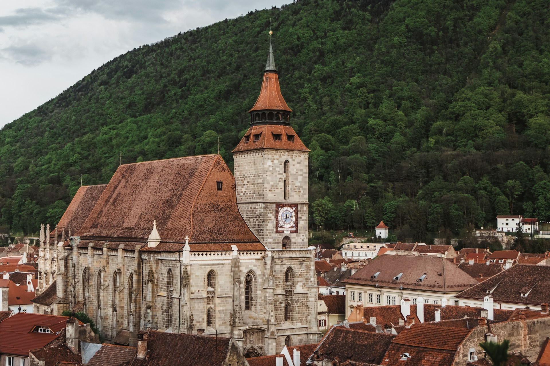 brasov voluntariat