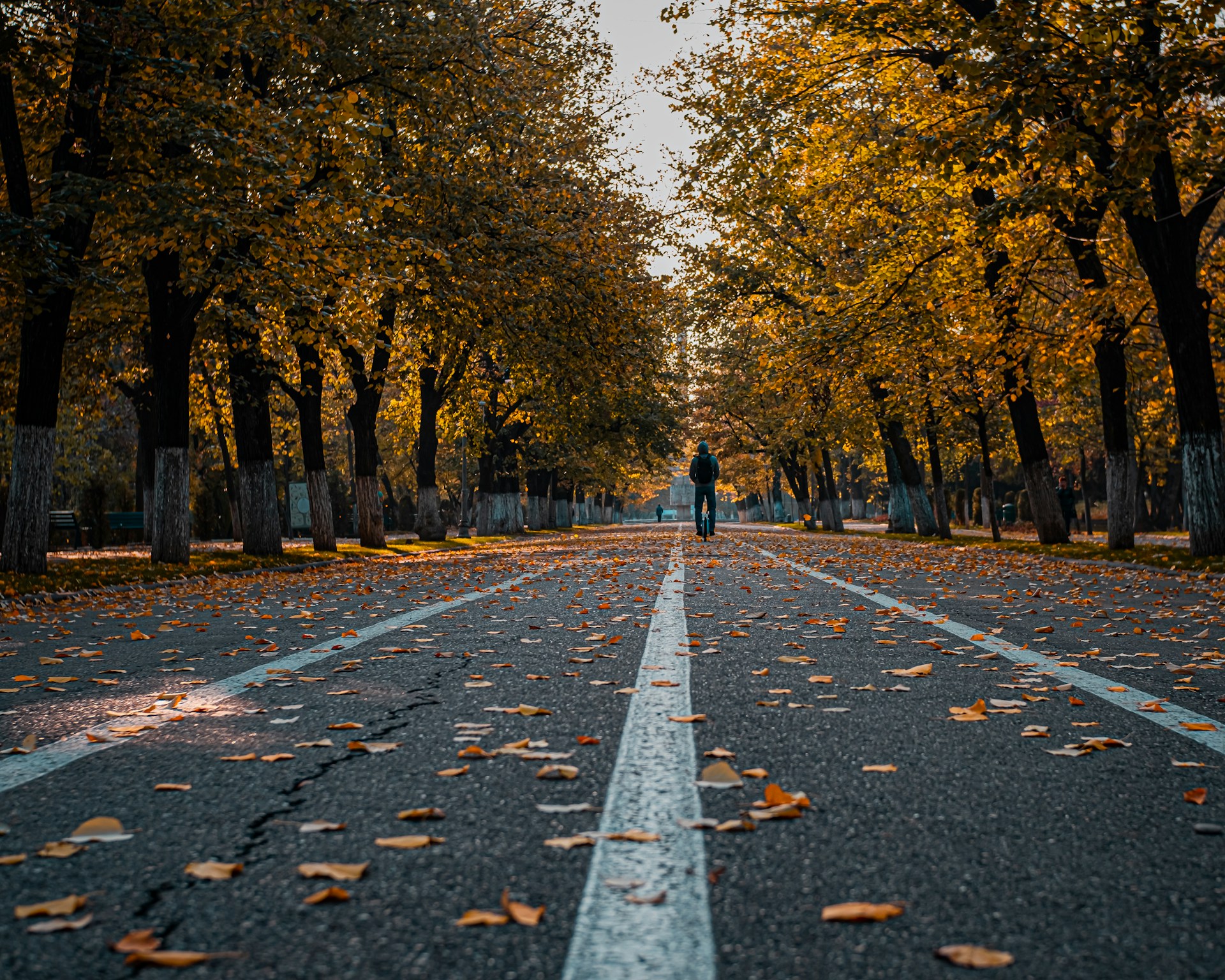 voluntariat Buzău