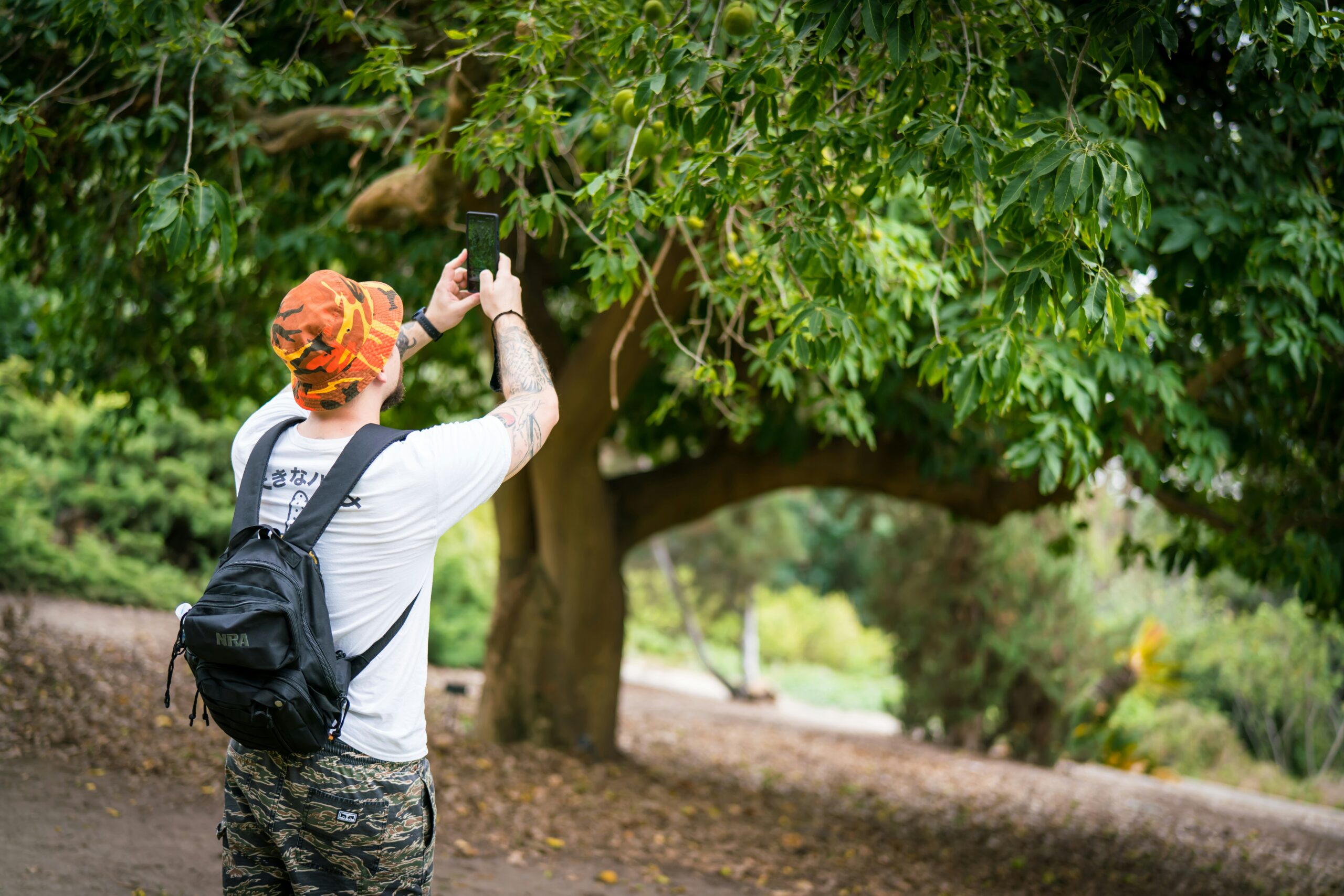 voluntariat-natura